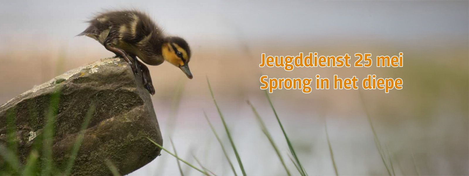 2025-05-25-juegddienst-banner